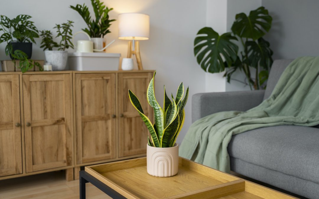 Crear ambientes acogedores con muebles de madera
