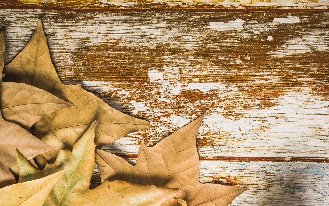 Tendencias en carpintería de madera para este otoño