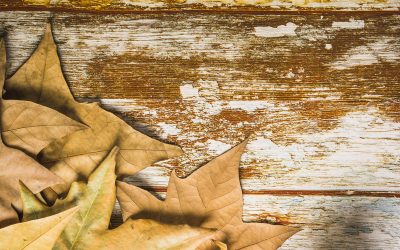 Tendencias en carpintería de madera para este otoño